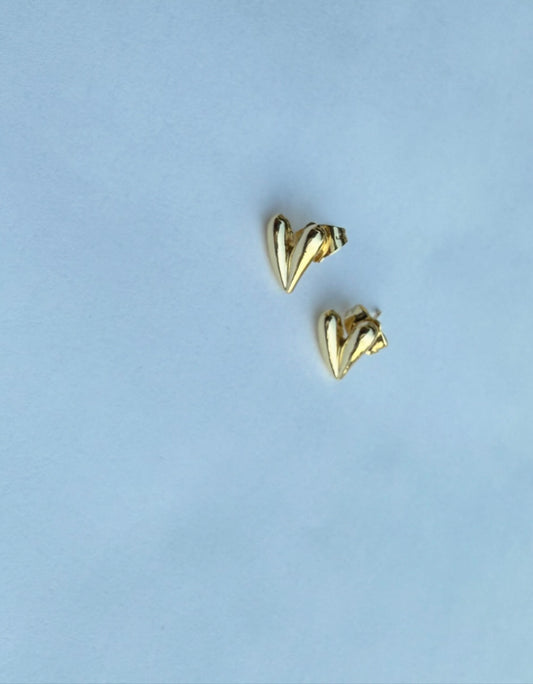 Heart Earrings
