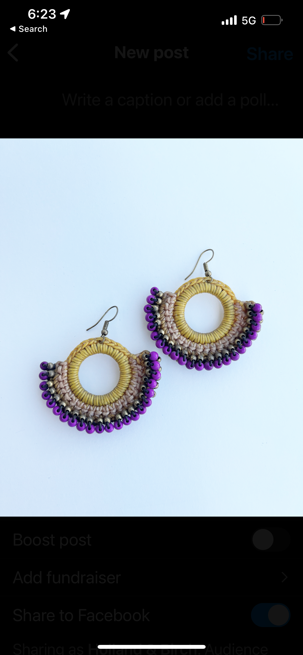 Fernando Earrings
